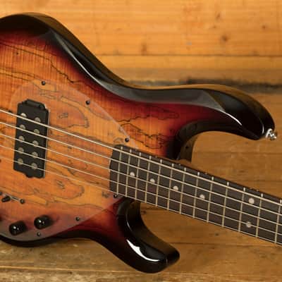 Sterling RAY35SM StingRay 5 Bass - Spalted 3-Tone Sunburst image 5