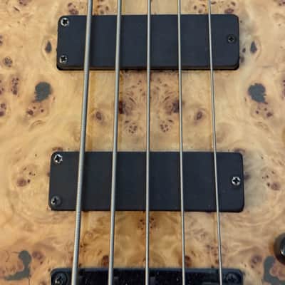 MTD Kingston Z5 with Maple Fretboard 2020 - Present - Natural Gloss image 6