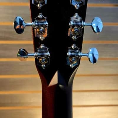Gallagher G70 2024 - Natural Gloss image 13