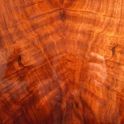 Warrior Acoustic Queen Anna Brazilian Grand Auditorium Cutaway  2000's Natural image 8