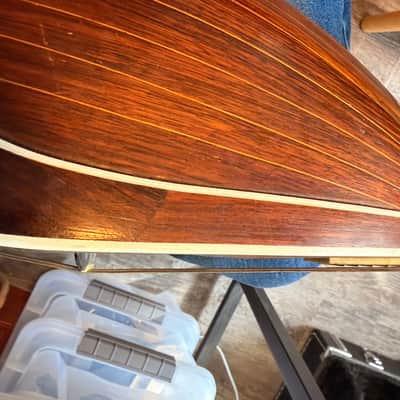 Lyon and Healey Mandolin 1900"s image 10