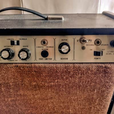 EX RICHARD FORTUS (GUNS 'N' ROSES, THE DEAD DAISIES, THIN LIZZY...) 50s modded Estey T32 (Magnatone) owned amp image 4