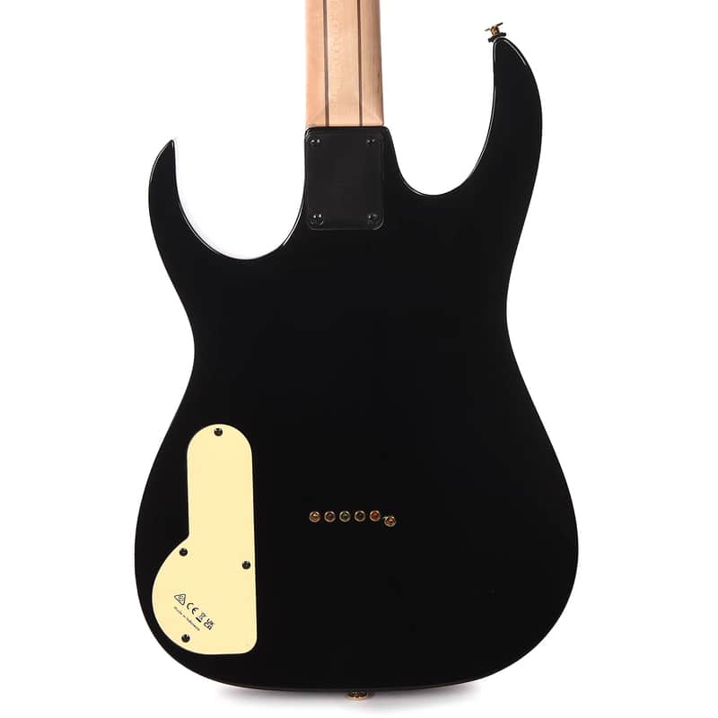 Ibanez PGM50 Paul Gilbert Signature image 4
