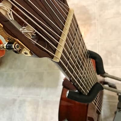 Cathedral 10 string clasical guitar 2013 with midi pickup image 8