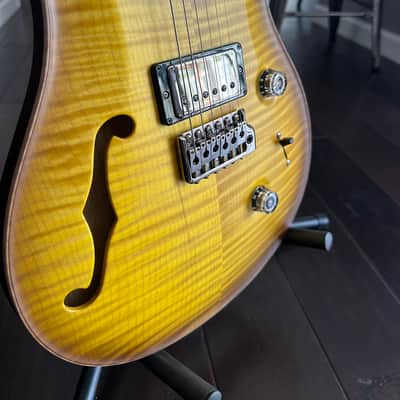 PRS Custom 24 Semi-Hollow Wood Library image 4