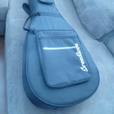 Breedlove Stage Concert image 9