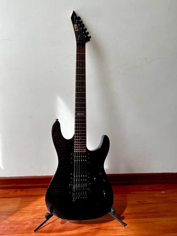 ESP LTD M100fm Tigre black image 1