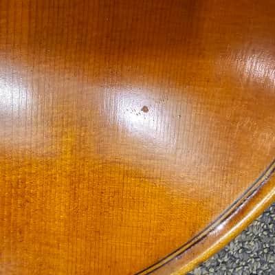 D Z Strad Cello - Model 800 - Cello Outfit w/ Case & Bow (7/8) (Pre-owned) image 5