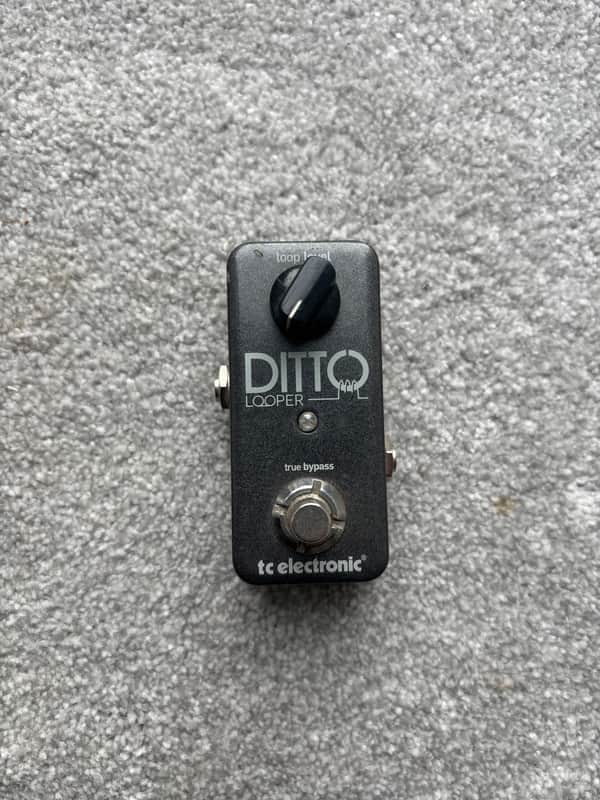 TC Electronic Ditto Looper image 1