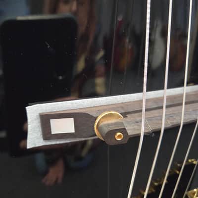 D'Angelico Excel EXL-1 Hollow Body Archtop with Pau Ferro Fretboard 2018 image 4