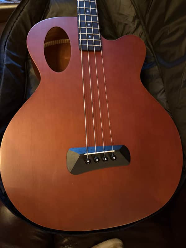 Spector Timbre 2010s - Walnut image 1