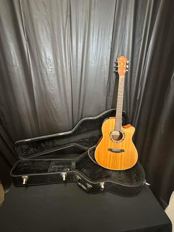 Ibanez AEF18-NT Acoustic Guitar W/Fender Case) image 1