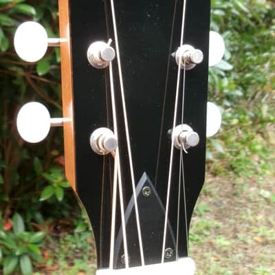 Yairi M-TFC LTD 2024 Limited production of only 10 units, Cutaway, Hand Made  - Natural Lacquer image 6