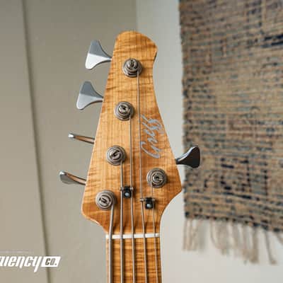 Gregg Guitars PJ5 Bass in Olympic White with an Chambered Ash Body and Roasted Flamed Maple Neck image 11
