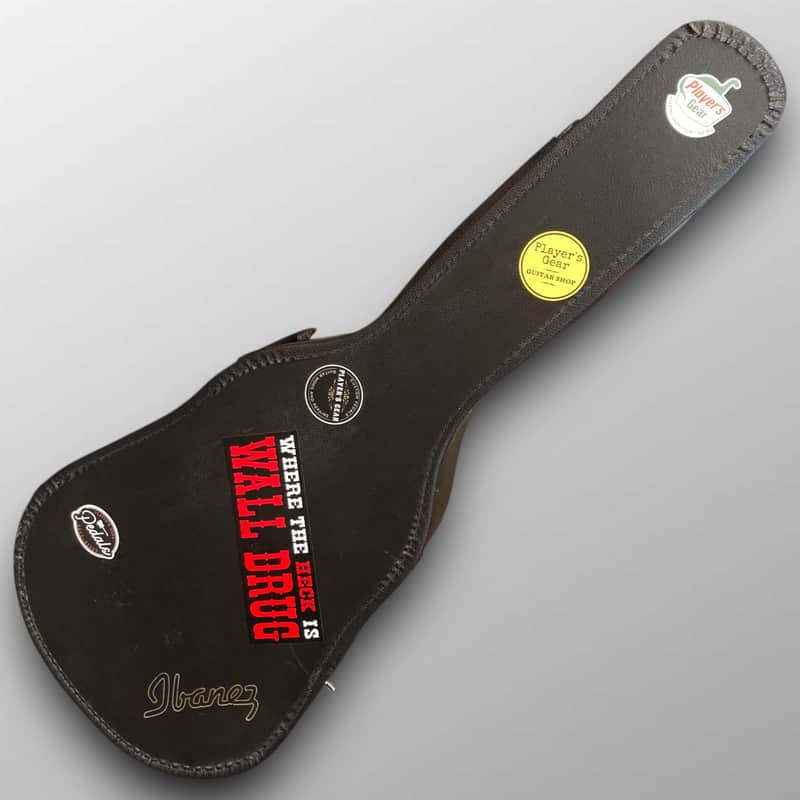 Custom Guitar Case Bluetooth Speaker – 30W amplifier with Audio Exciter image 1
