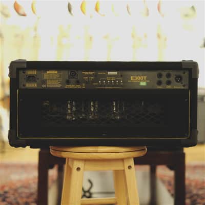 David Eden E300T Head imagen 3