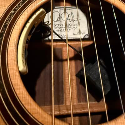 PRS Angelus Private Stock 2010 Steve Fischer image 7