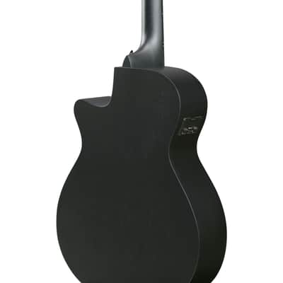 Ibanez AEG1221-BOT 12-String - 12 String Acoustic Guitar image 7