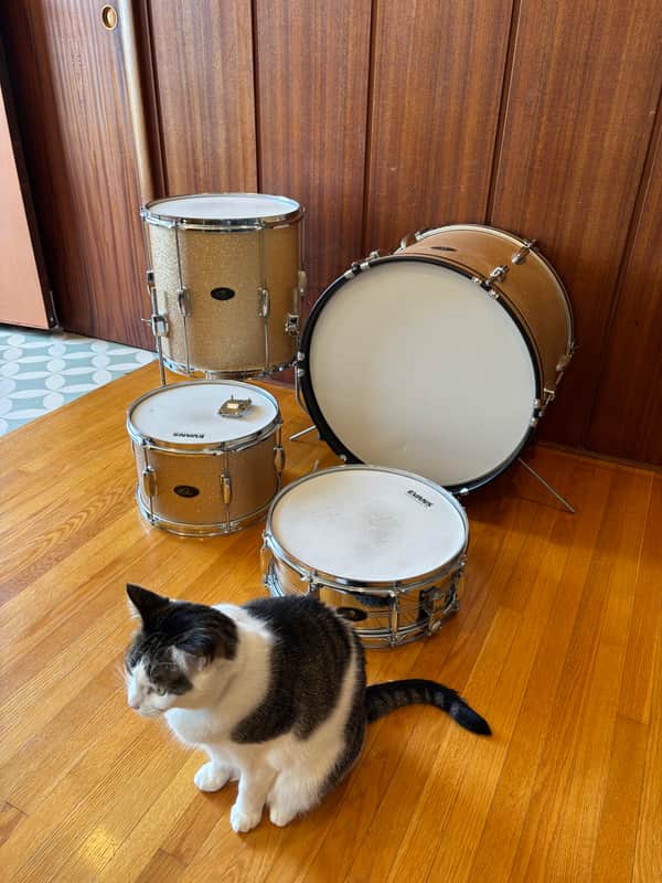 Vintage Raven MIJ Drums 20/14/12/14 image 1