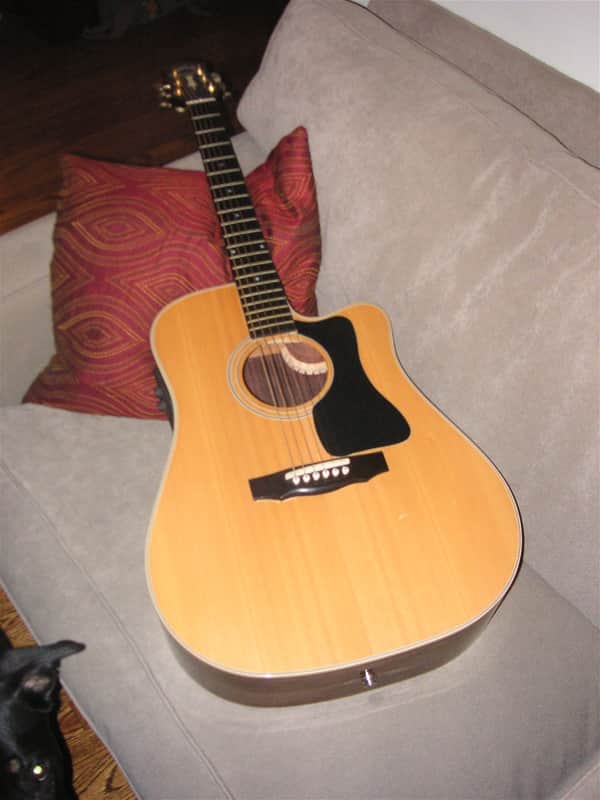 Guild DCE5 2001 image 1