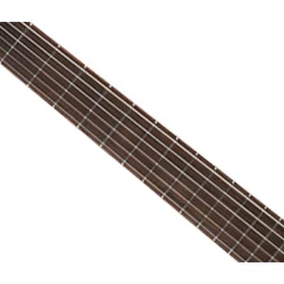 Ortega Guitars Performer Series LH Thinline A/E Nylon Classical Guitar image 3