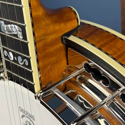 Deering Calico 5-String Banjo Demo image 16