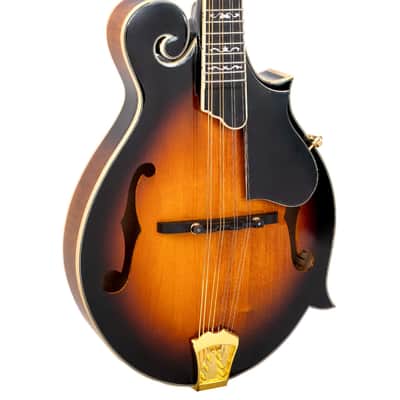 Gold Tone GM-70+ Professional Craved Solid Spruce Top Maple Neck F-Style 8-String Mandolin w/Hard Case image 1