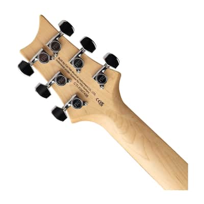 PRS SE Swamp Ash Special Electric Guitar - Charcoal - Open Box image 5