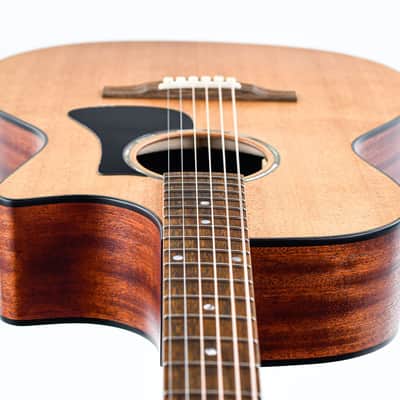 Eastman PCH1 GACE image 12