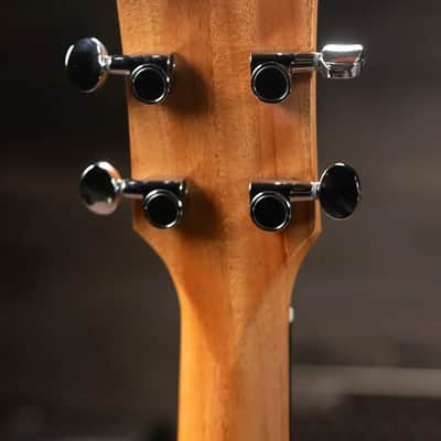 Taylor 24ce Grand Auditorium Acoustic/Electric Guitar with Gig Bag image 6