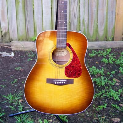 Yamaha  F345SY  Sycamore Top Dreadnought Acoustic Guitar Like New image 2