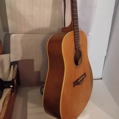 Seagull Entourage Dreadnought 2018 - Autumn Burst image 2