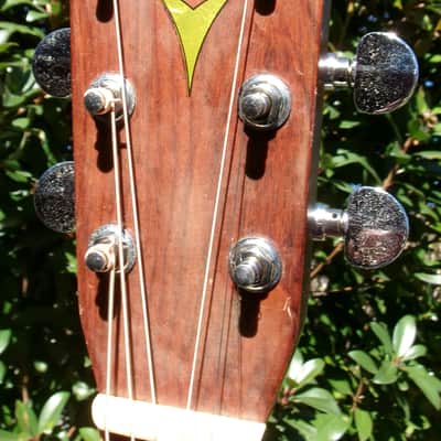 1979 Yairi D35 YW550 Natural + Case image 6