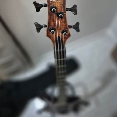 Ibanez Sr650 2016 image 1