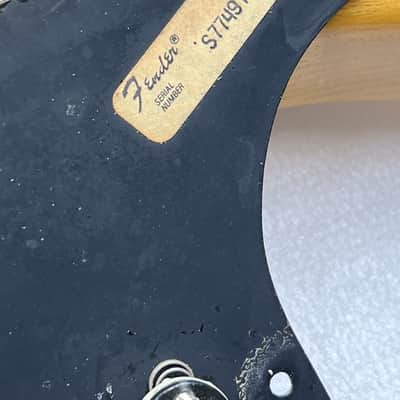 Nice 1977 Fender Stratocaster  Natural with Maple Fretboard , Great Player Includes Pro Setup & Original Hard Shell Case ! image 11