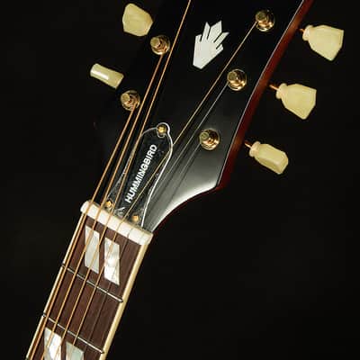 Epiphone Inspired by Gibson Hummingbird Standard image 4