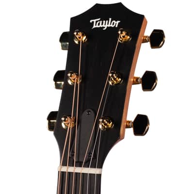 Taylor 222ce-K DLX Shaded Edgeburst (418) image 5
