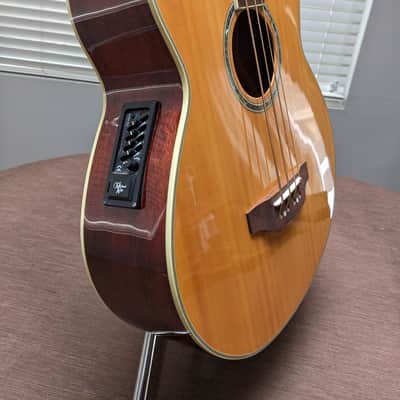 Michael Kelly Acoustic/Electric Bass Guitar image 7