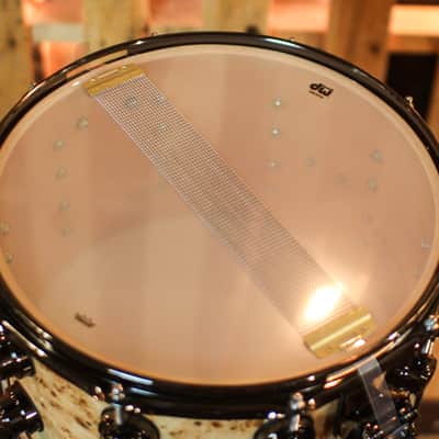 DW 8x14 Collector's Maple VLT Natural Lacquer over Mapa Burl Snare Drum - SO#1409995 image 5