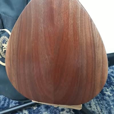 Michael Mederios Mandolin imagen 4