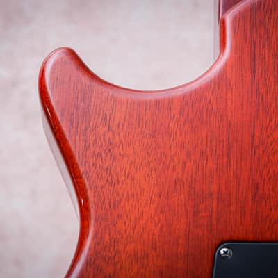 PRS USA Paul Reed Smith Signature Tremonti Tremolo "Burnt Maple Leaf + Rosewood" (2016)(Reserved) image 18