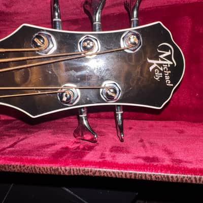 Michael Kelly 5 string Fretless Bass image 21