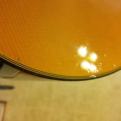Takamine E30 1989 Acoustic Electric Classical Nylon Vintage Natural image 20