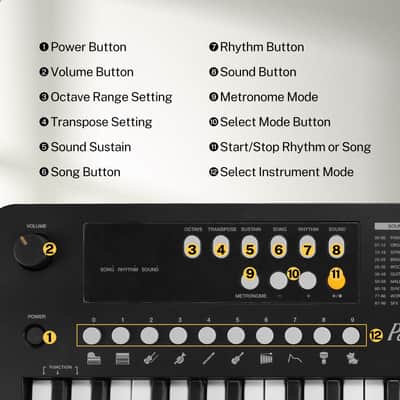 POGOLAB 37 Keys Small Keyboard Piano with Transpose and Octave Function image 3