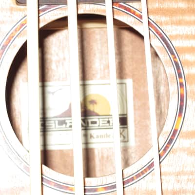 Islander By Kanile'a Fretless Bass Ukulele Pako-M-Fretless image 3