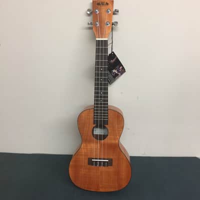 Kala KA-CEM Exotic Mahogany Series Concert Ukulele 2010s - Satin Natural image 1