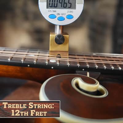 Eastman MD315 F-Style Hand-Carved Mandolin #2228 image 18