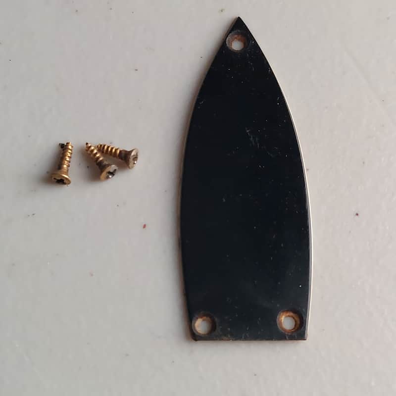 1960's Gretsch Truss Rod Cover with Screws (K-216) image 1