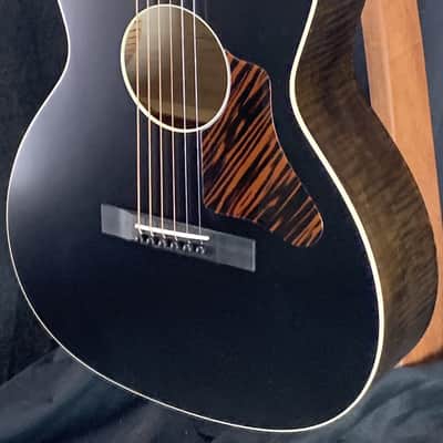 Waterloo WL-12 X Bracing Jet Black Top Truss Rod w/case image 5