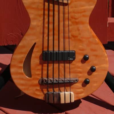 Veillette Paris Lined Fretless image 8